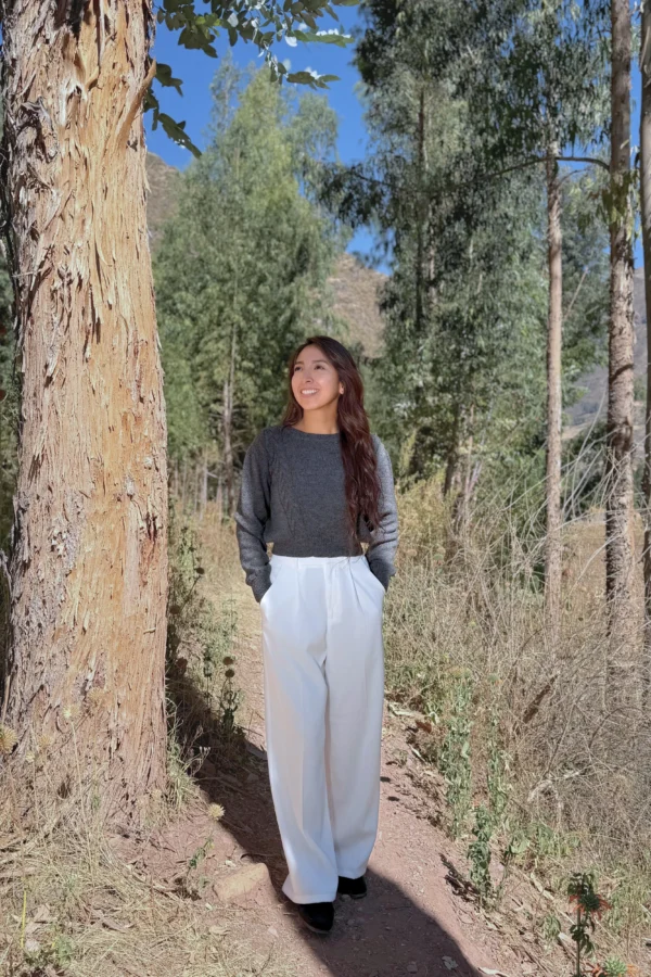 Grey Sweater Baby Alpaca Wool - Women